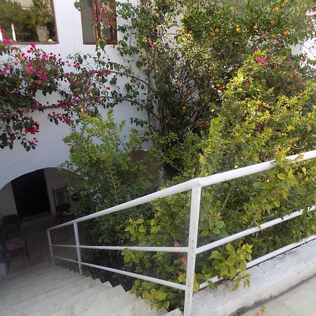 Hotel Casa San Miguel Σαν Μιγκέλ ντε Αγιέντε Εξωτερικό φωτογραφία