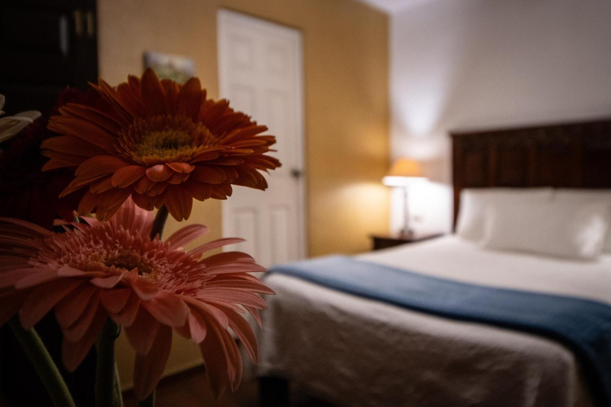 Hotel Casa San Miguel Σαν Μιγκέλ ντε Αγιέντε Εξωτερικό φωτογραφία