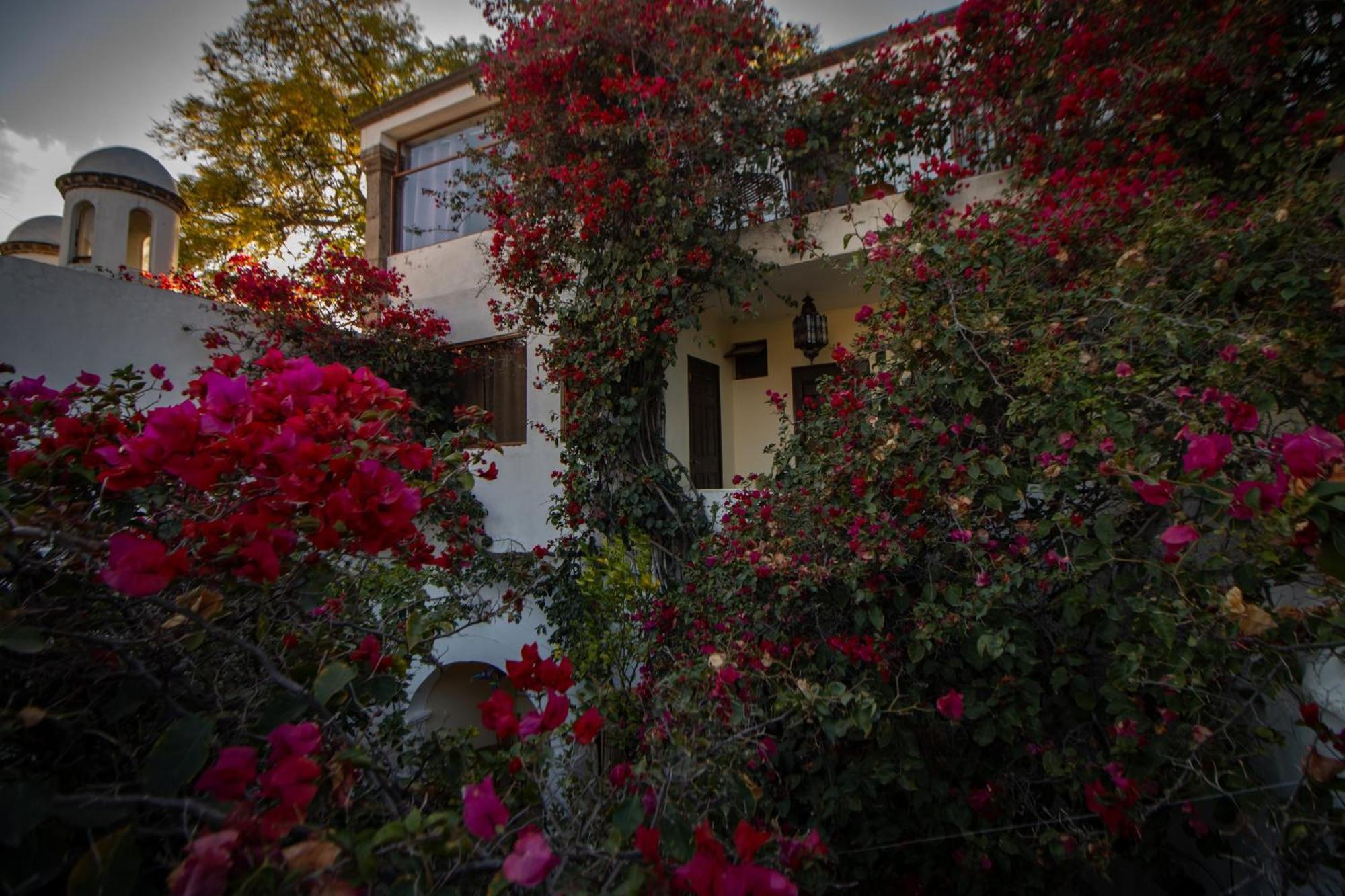 Hotel Casa San Miguel Σαν Μιγκέλ ντε Αγιέντε Εξωτερικό φωτογραφία