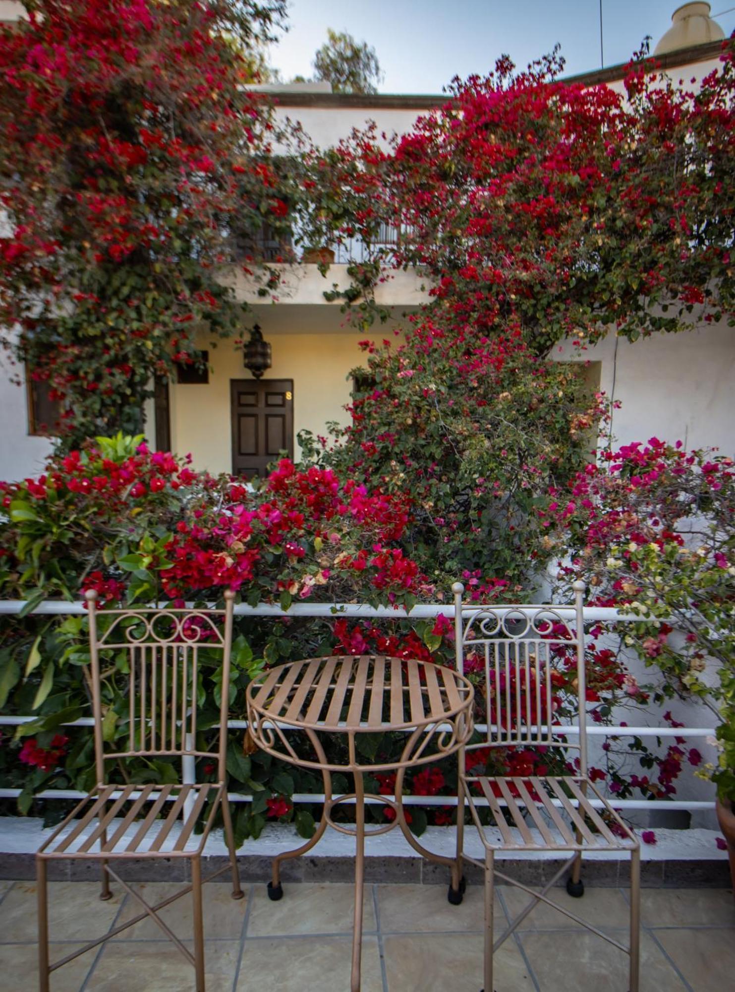 Hotel Casa San Miguel Σαν Μιγκέλ ντε Αγιέντε Εξωτερικό φωτογραφία