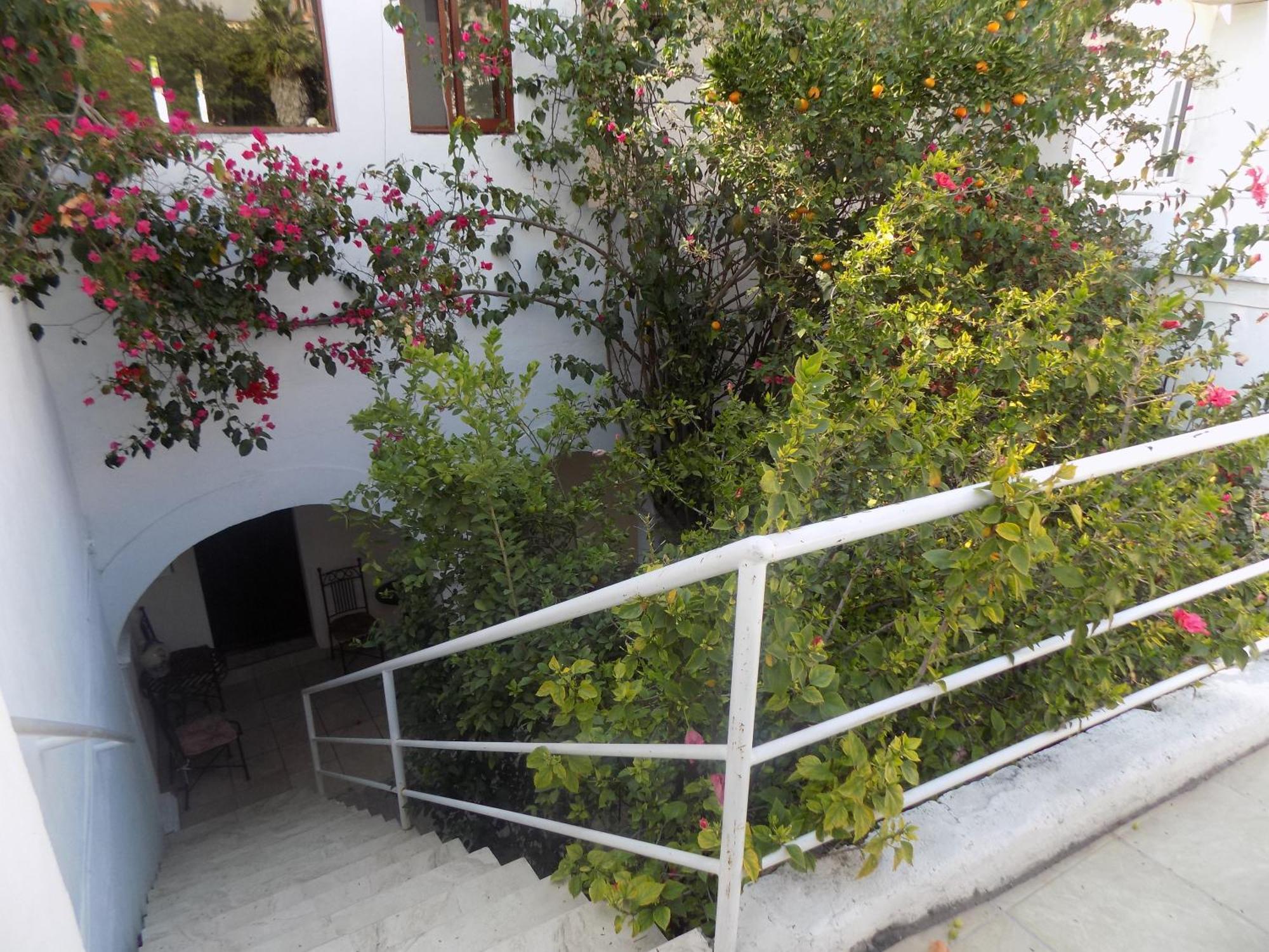 Hotel Casa San Miguel Σαν Μιγκέλ ντε Αγιέντε Εξωτερικό φωτογραφία