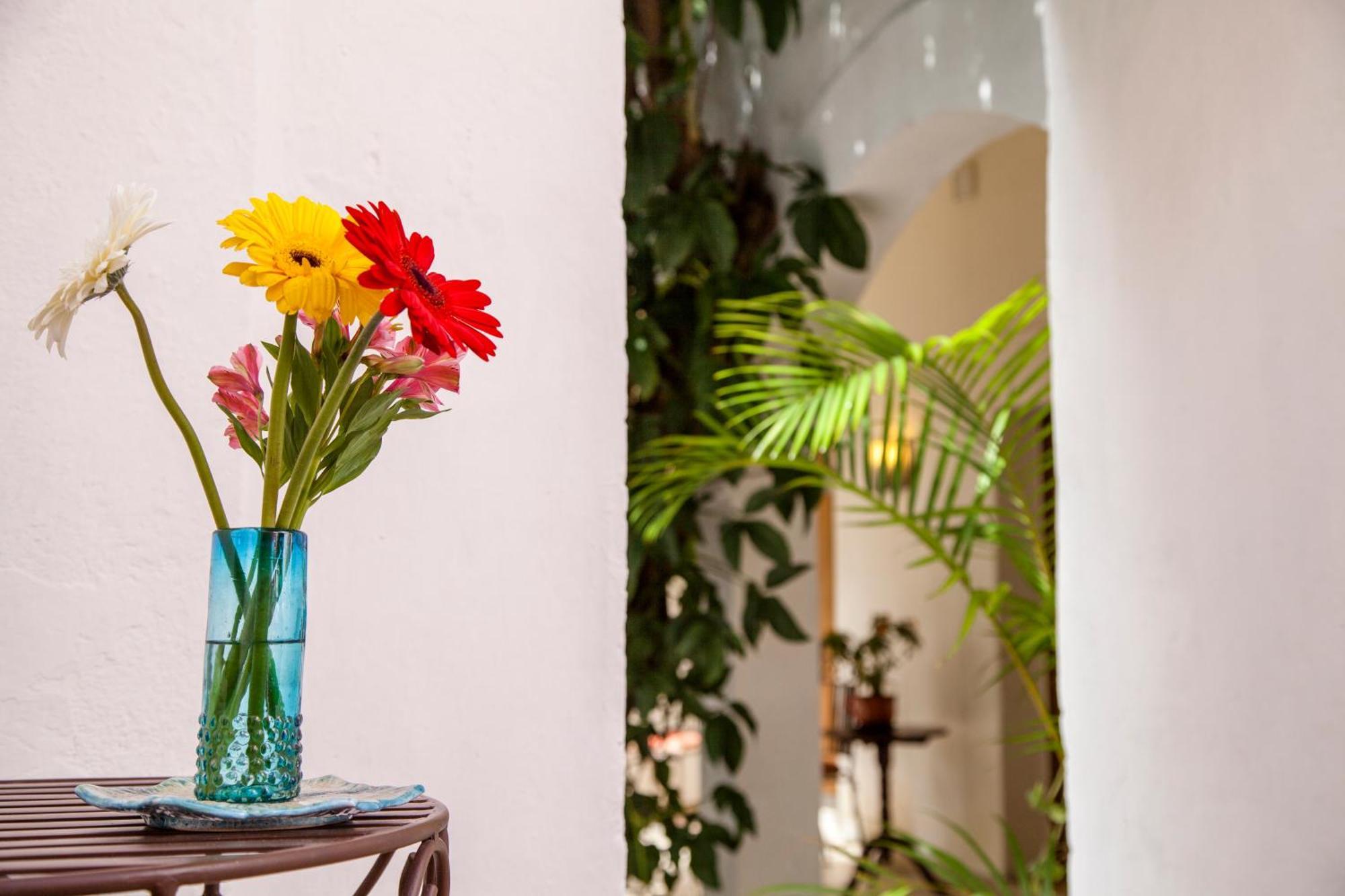 Hotel Casa San Miguel Σαν Μιγκέλ ντε Αγιέντε Εξωτερικό φωτογραφία