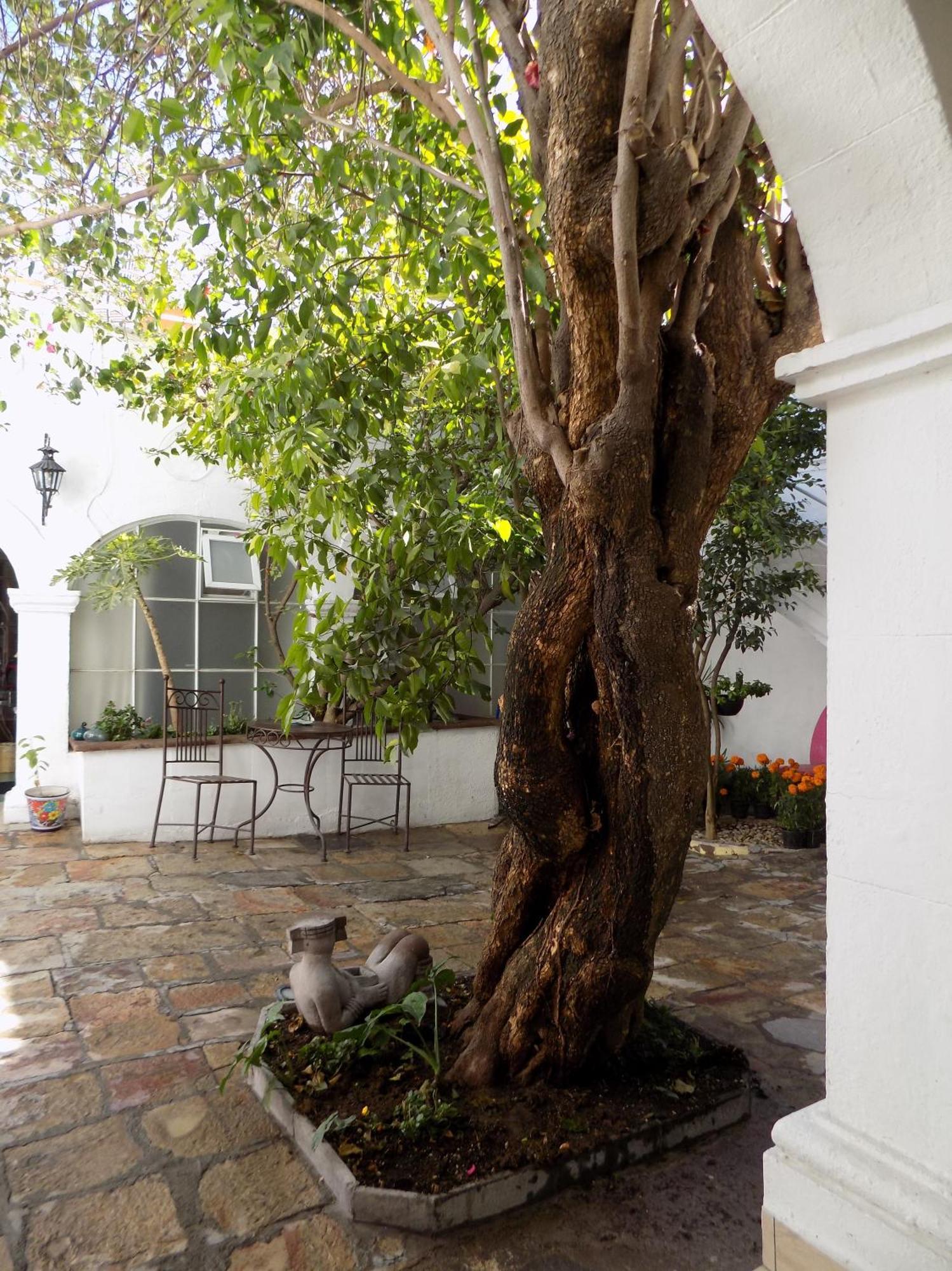 Hotel Casa San Miguel Σαν Μιγκέλ ντε Αγιέντε Εξωτερικό φωτογραφία