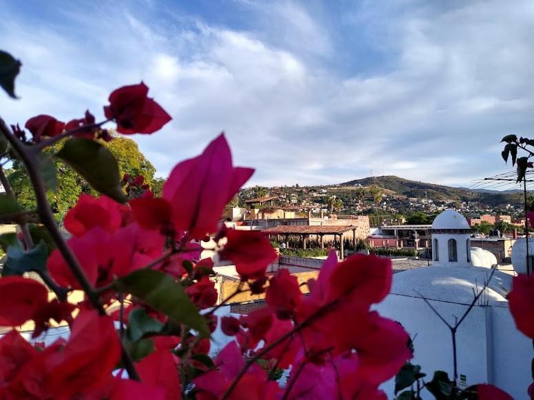 Hotel Casa San Miguel Σαν Μιγκέλ ντε Αγιέντε Εξωτερικό φωτογραφία